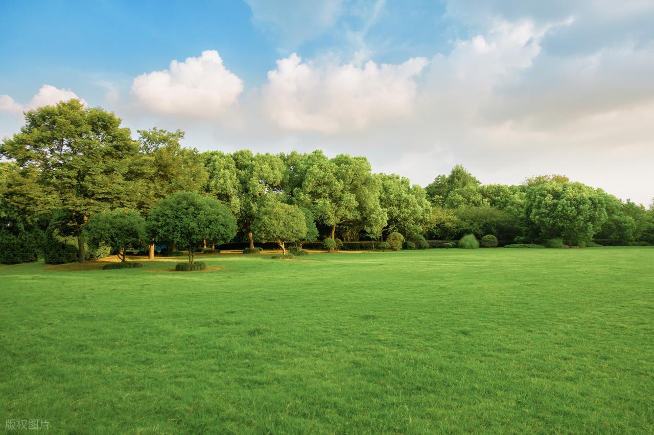当我们在说网关时，到底在说什么