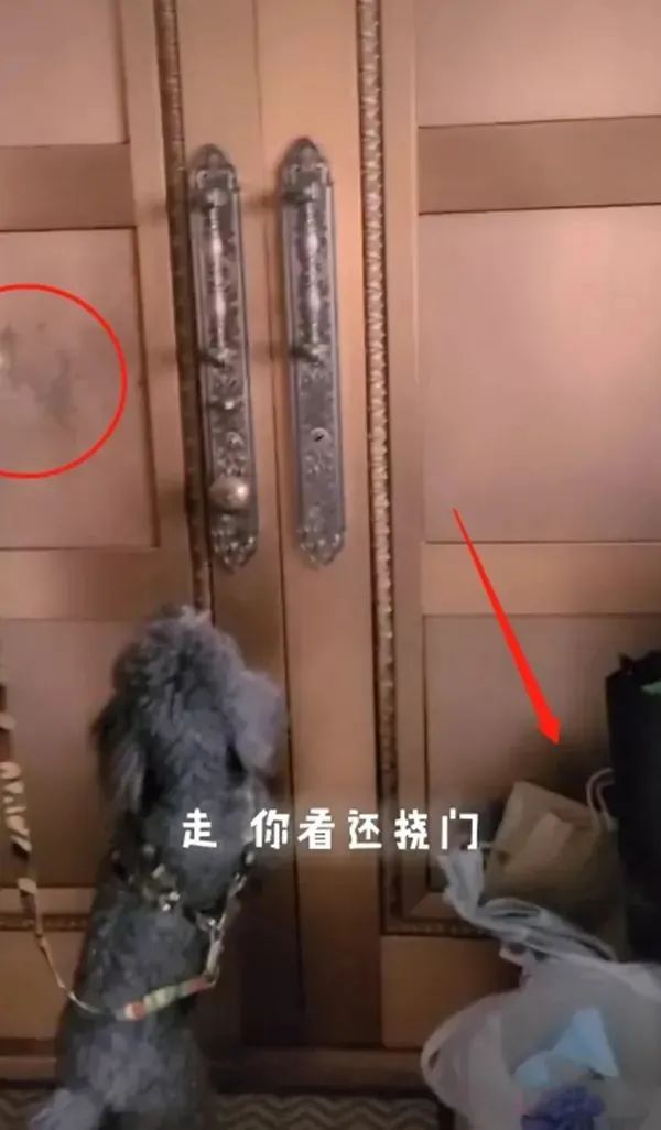 冯巩：65岁，被骂惨了