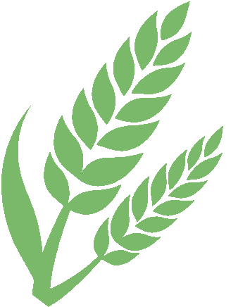 心灵减压，快乐同行——护理部联合心理门诊共同开展团体心理辅导活动