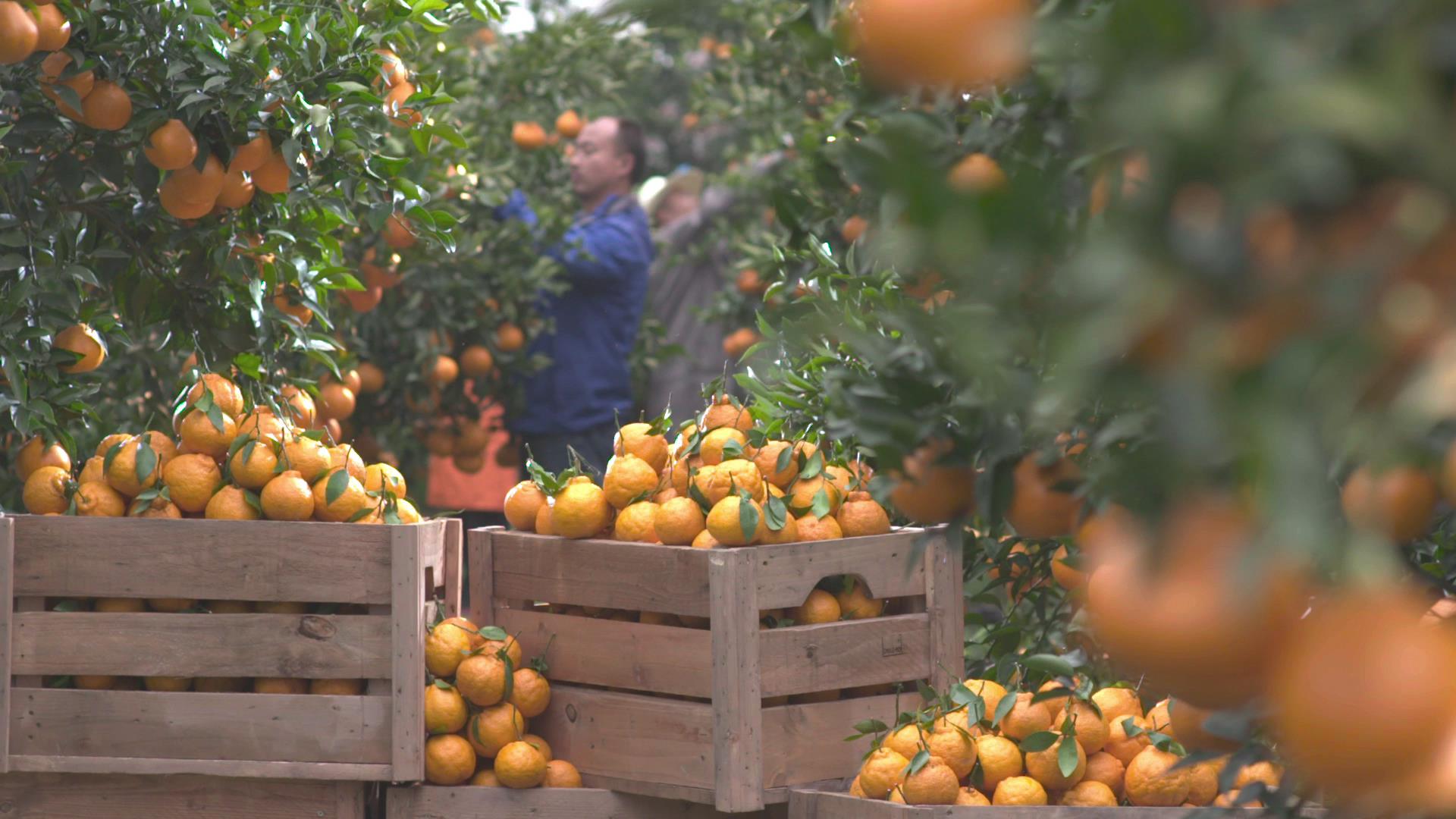 两会观察 融媒先锋 | 征集首日：人民日报党媒平台关注，上百作品涌来