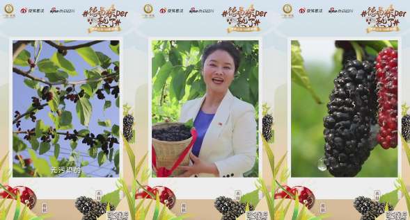 火热进行！“两会观察 融媒先锋”征集作品超百件