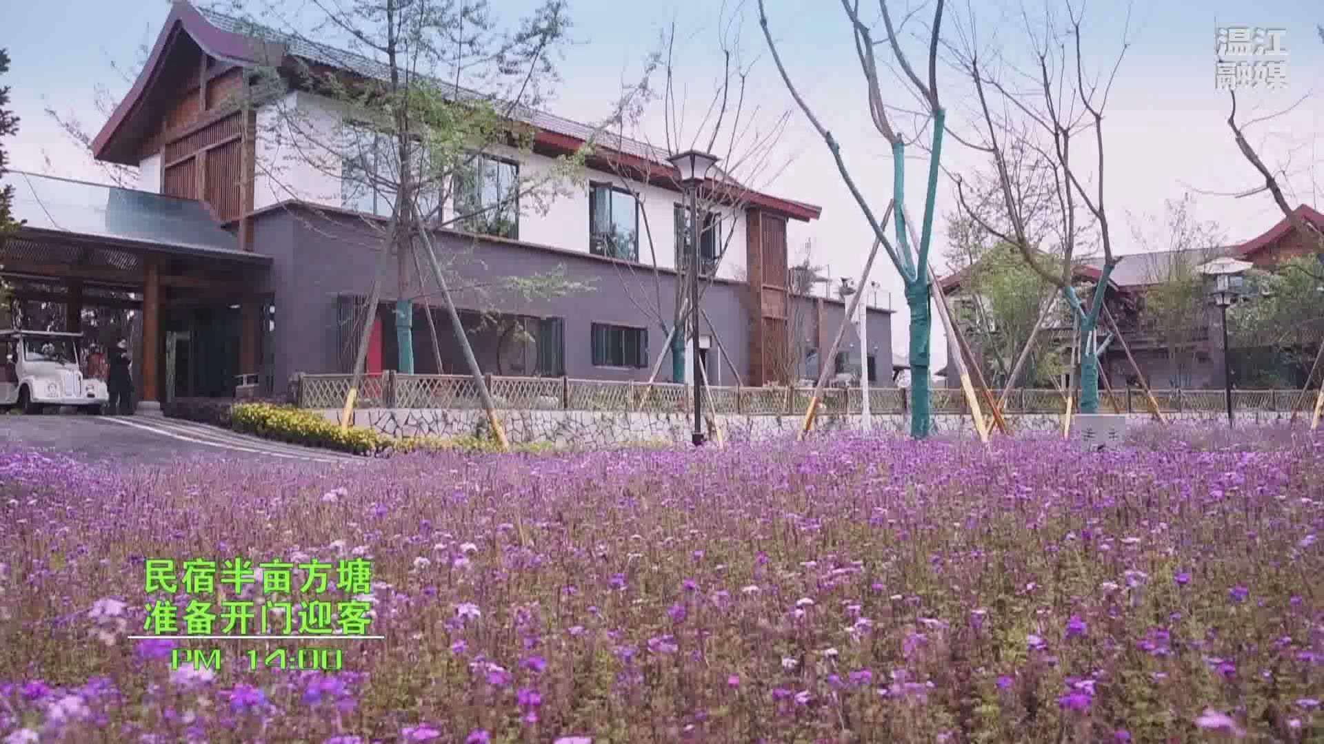 火热进行！“两会观察 融媒先锋”征集作品超百件