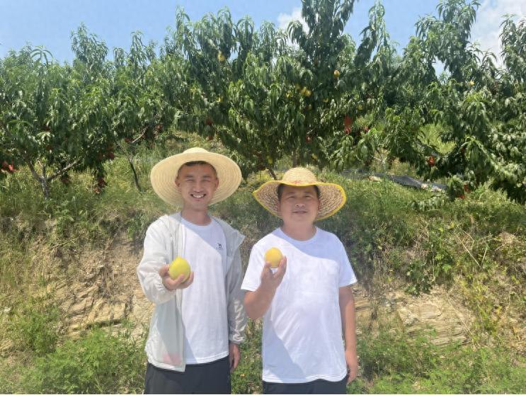 团风：两任大学生村官跨界“种桃”，带村民端稳“金饭碗”