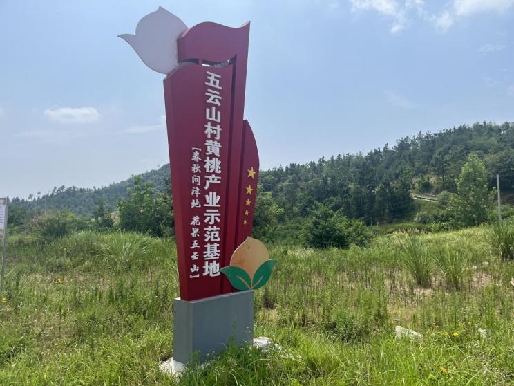 团风：两任大学生村官跨界“种桃”，带村民端稳“金饭碗”