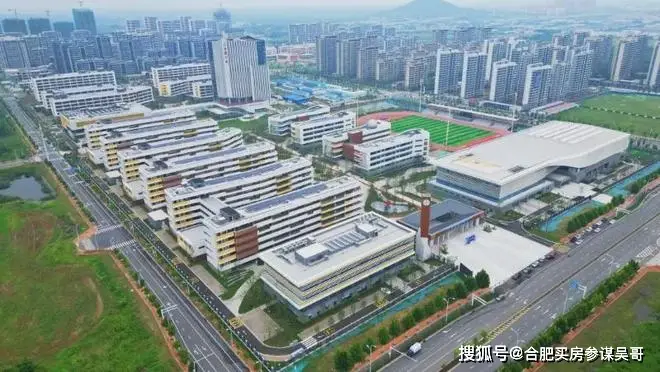 合肥26年1月最新教育与学校发展成就大事记：新建多所中小学高中