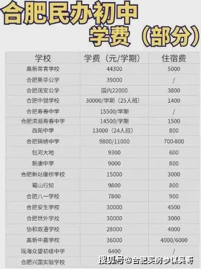 合肥26年1月最新教育与学校发展成就大事记：新建多所中小学高中
