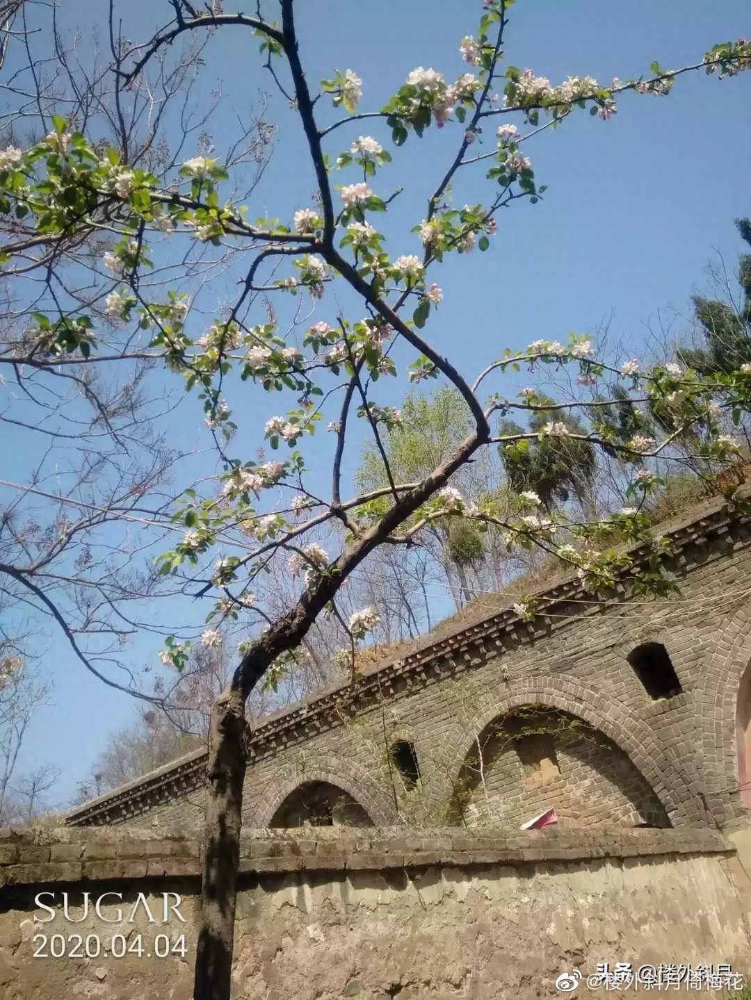 马克思、恩格斯对中国的论述及其思想价值