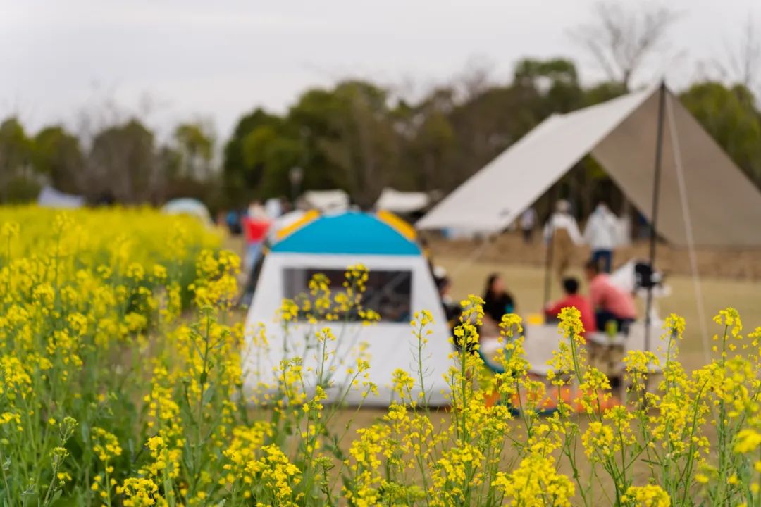 洪雅旅游必去十大景点，四川洪雅10个周边游好去处，你去过几个？