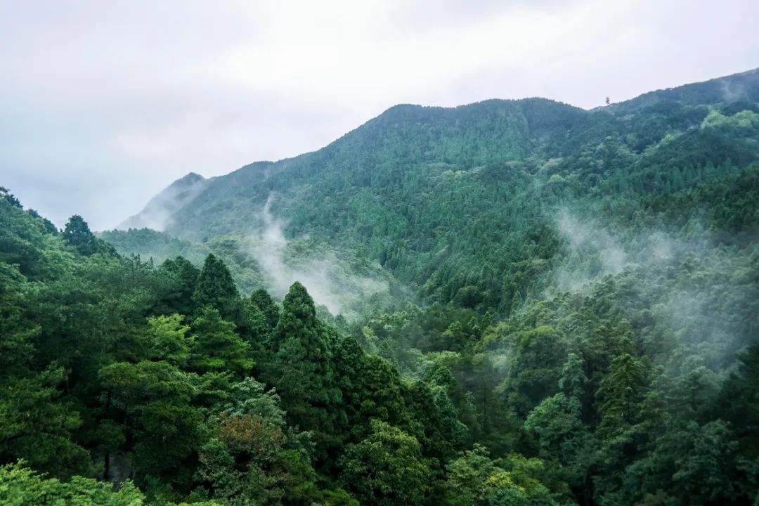 洪雅旅游必去十大景点，四川洪雅10个周边游好去处，你去过几个？