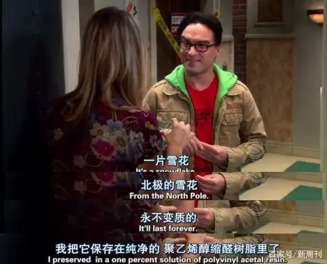 《生活大爆炸》12年：成年人最后的童话结束了
