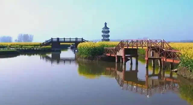 江苏多地孙氏字辈揭秘:家族文化的多样传承