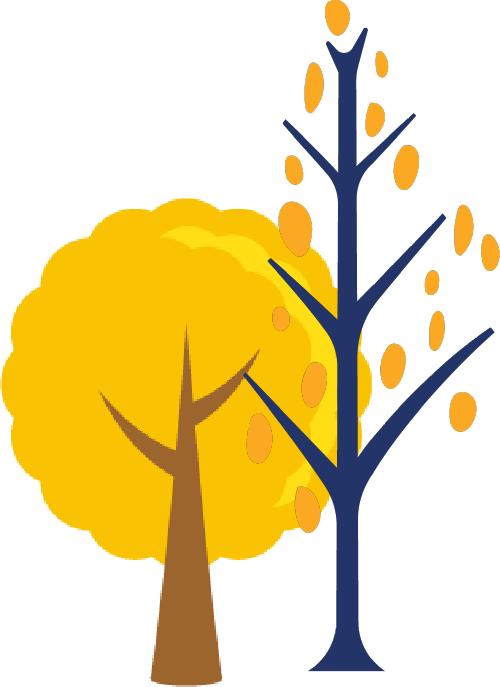 手把手教你做教科研】一文搞定：开题、中期、结题报告的写作指南