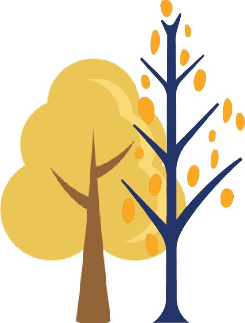 手把手教你做教科研】一文搞定：开题、中期、结题报告的写作指南