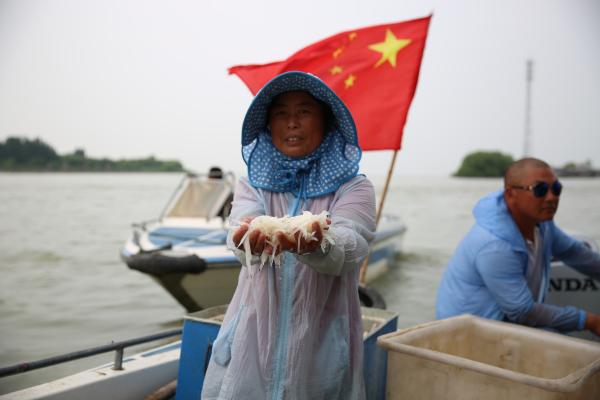 外国人眼里这十年③ | 江苏洪泽湖渔民：上岸置家，创业转型