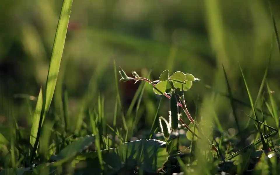 喜欢一个女孩不敢表白？3个方法破解你的情感困境