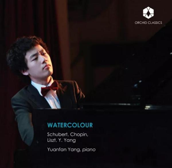 华裔青年说|杨远帆：融合中西风格不只是概念和口号