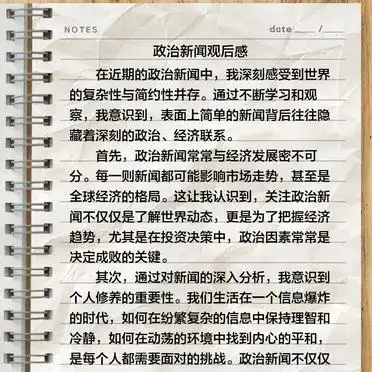 政治新闻观后感