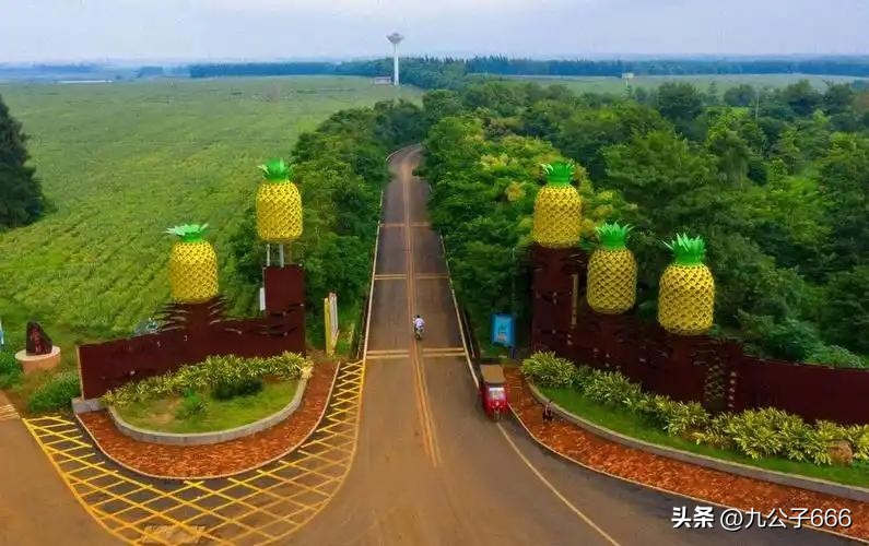 广东沿海自驾游吃住行全攻略(下)