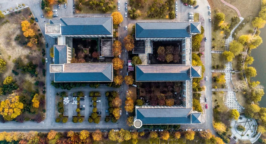 关注!东南大学调整本科毕业设计工作安排!
