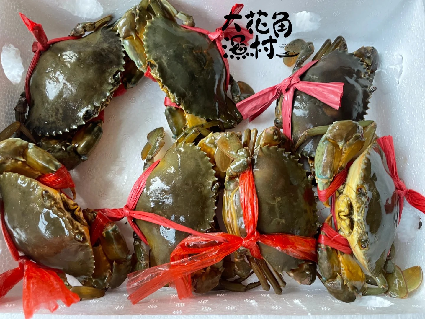 海南最有名的蟹是什么?海南十大名蟹,你认为哪种蟹最好吃?