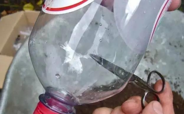 3步塑料瓶种瓜技巧,新手也能种西葫芦,一茬接一茬