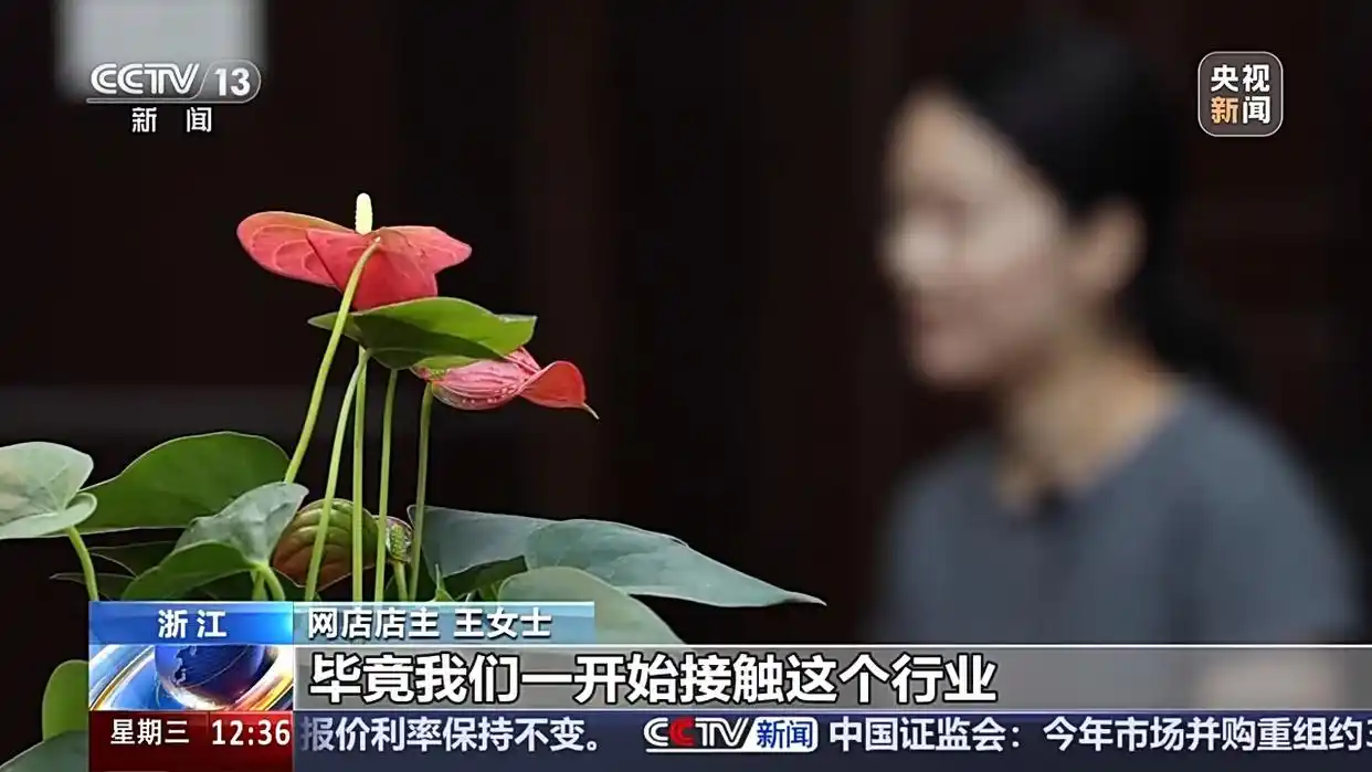 法治在线丨花钱就能“转评赞” 揭秘网络水军如何造“人气”