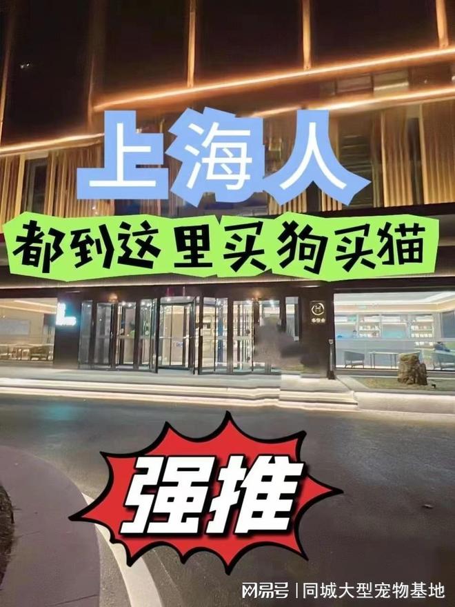 上海买宠物猫狗哪里比较安全,这家实体老店买的放心,有安全保障