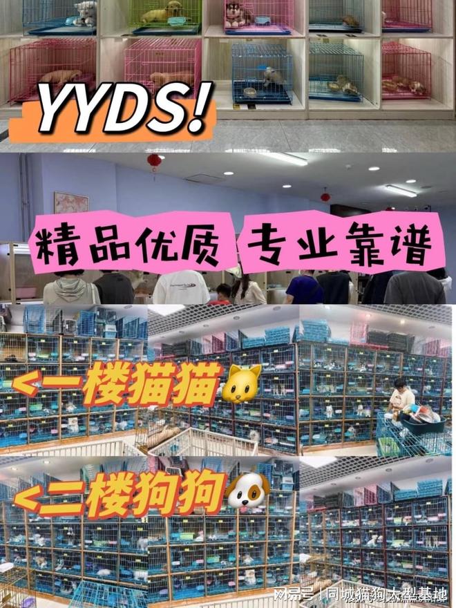 上海买宠物的最佳地点，选这家实体老店更靠谱