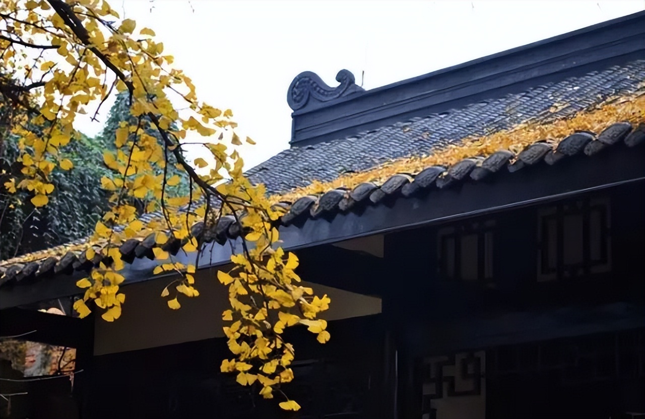 九月，你好！与你共赏人间最美清秋