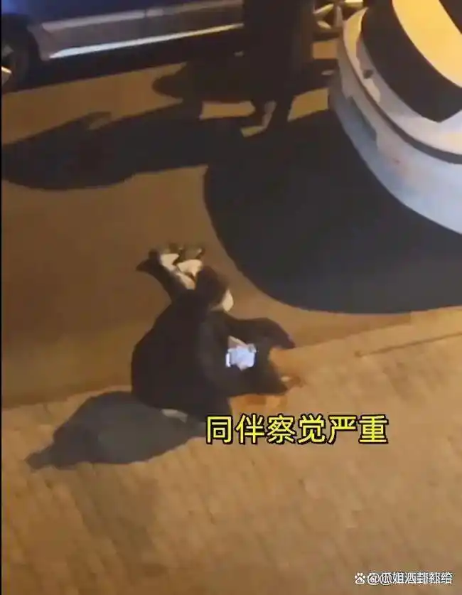 山东街头暴力视频疯传！男子一拳砸中女子面门，倒地僵直引死亡
