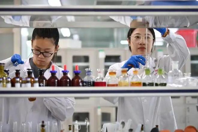 停止一切拨款！中科院正式向全世界宣布终止，西方学界已哀嚎一片