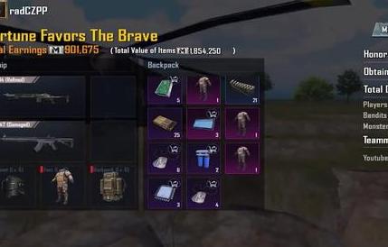 pubg国际服官方正版最新版本2024下载