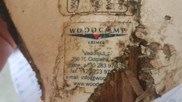 枭龙首次实战:巴基斯坦击落伊朗无人机