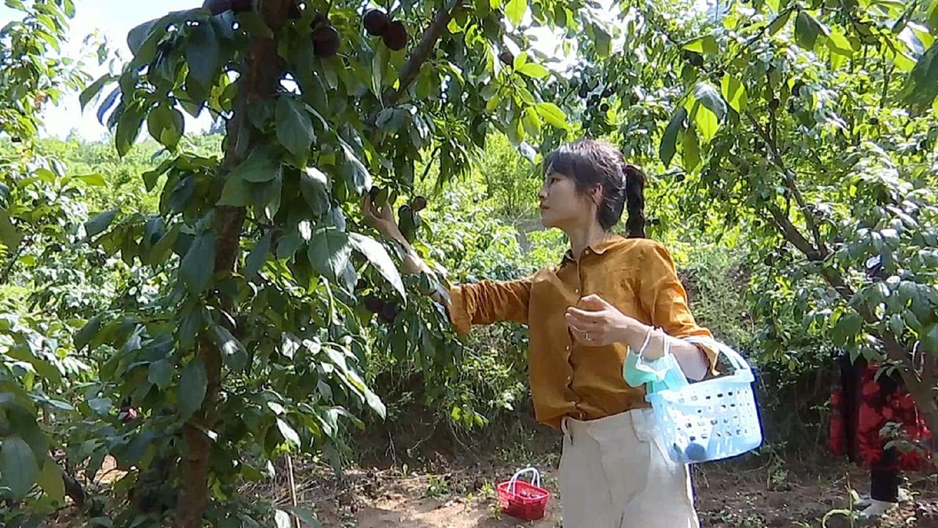 美丽家园·美丽庭院｜2022模范乡村示范点——六盘水市海螺村，交通铺就小康路