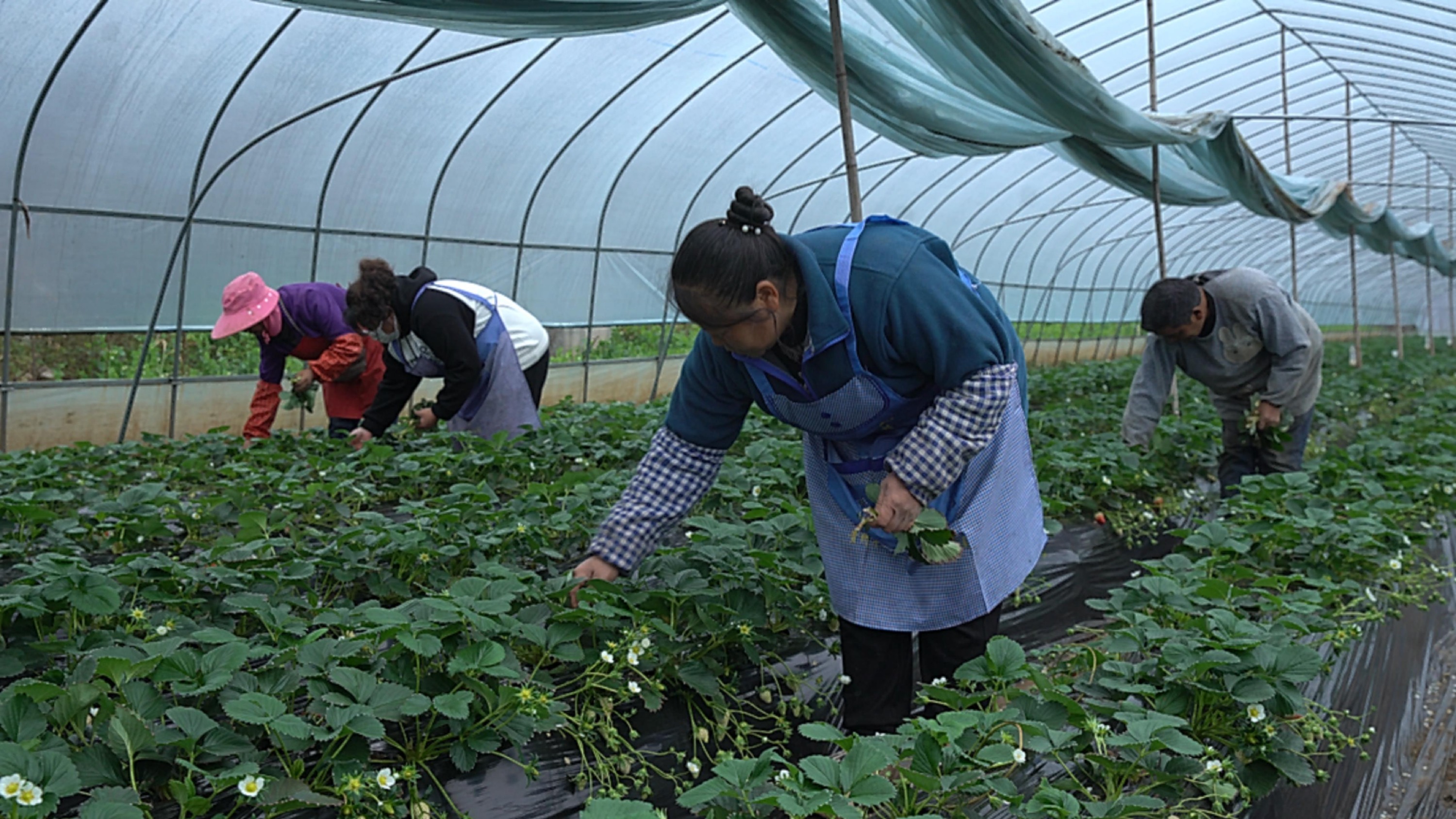 美丽家园·美丽庭院｜2022模范乡村示范点——六盘水市海螺村，交通铺就小康路