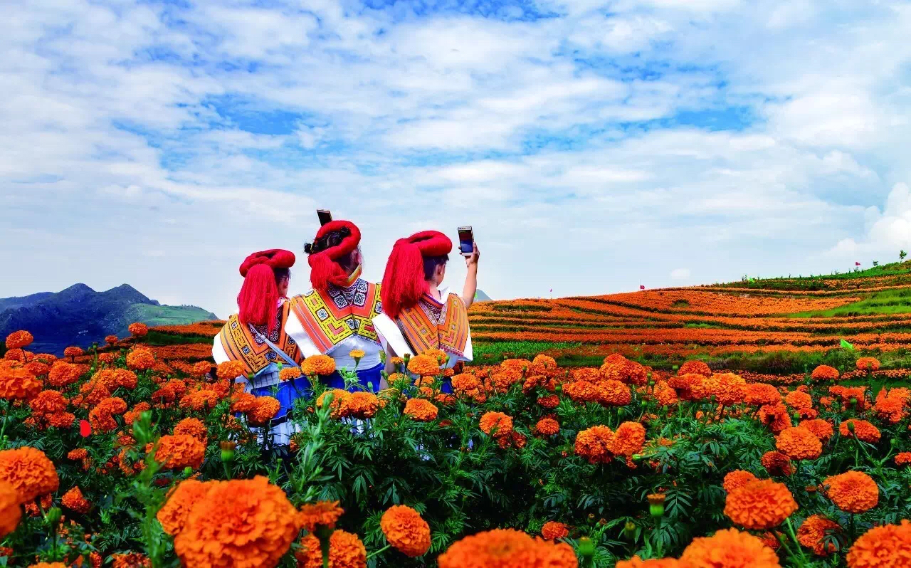 美丽家园·美丽庭院｜2022模范乡村示范点——六盘水市海螺村，交通铺就小康路