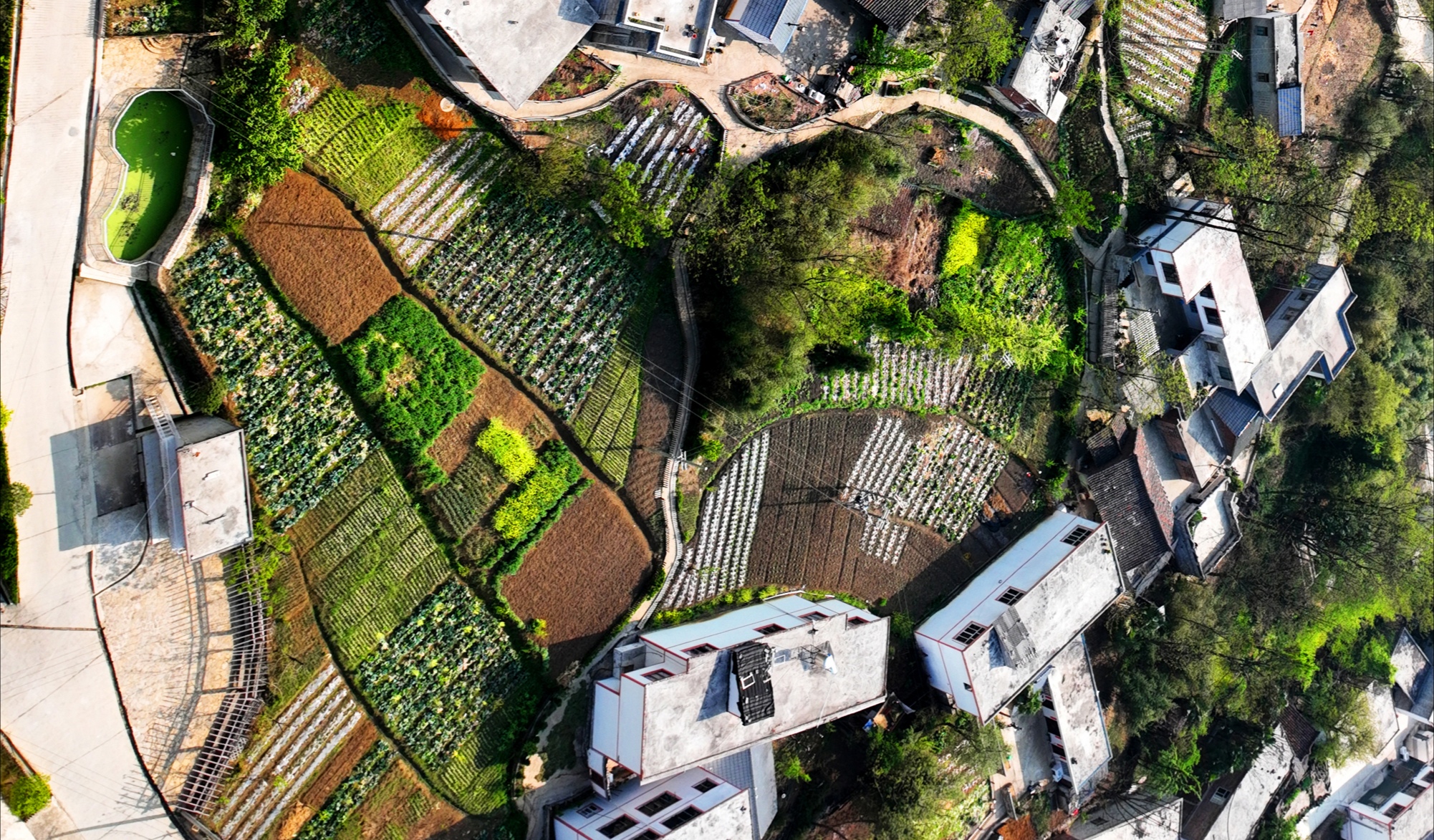 美丽家园·美丽庭院｜2022模范乡村示范点——六盘水市海螺村，交通铺就小康路