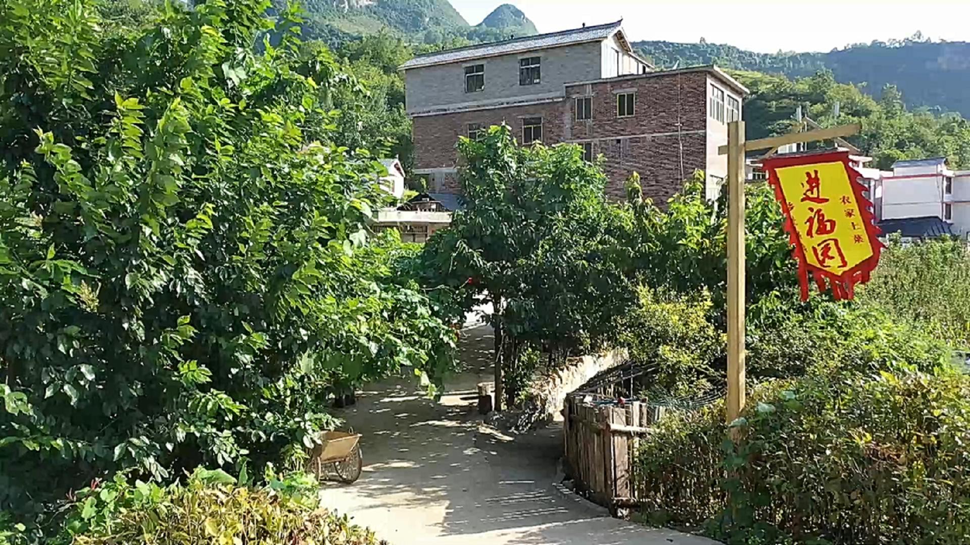 美丽家园·美丽庭院｜2022模范乡村示范点——六盘水市海螺村，交通铺就小康路