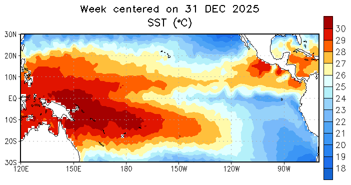 全球海温翘到爆表,大范围海洋热浪或来!分析:珊瑚或大面积遭殃