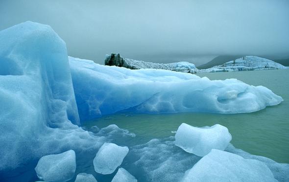 海冰：海洋世界的超级杀手