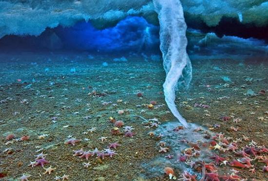 海冰：海洋世界的超级杀手