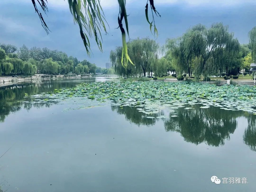 洞悉世事的神奇定律：（16）多米诺骨牌效应