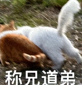 破防了！学了十几年Dear Li Hua，现在被告知写邮件用Dear不对？