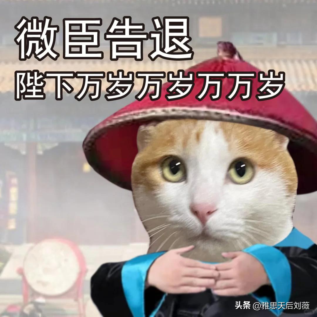 破防了！学了十几年Dear Li Hua，现在被告知写邮件用Dear不对？