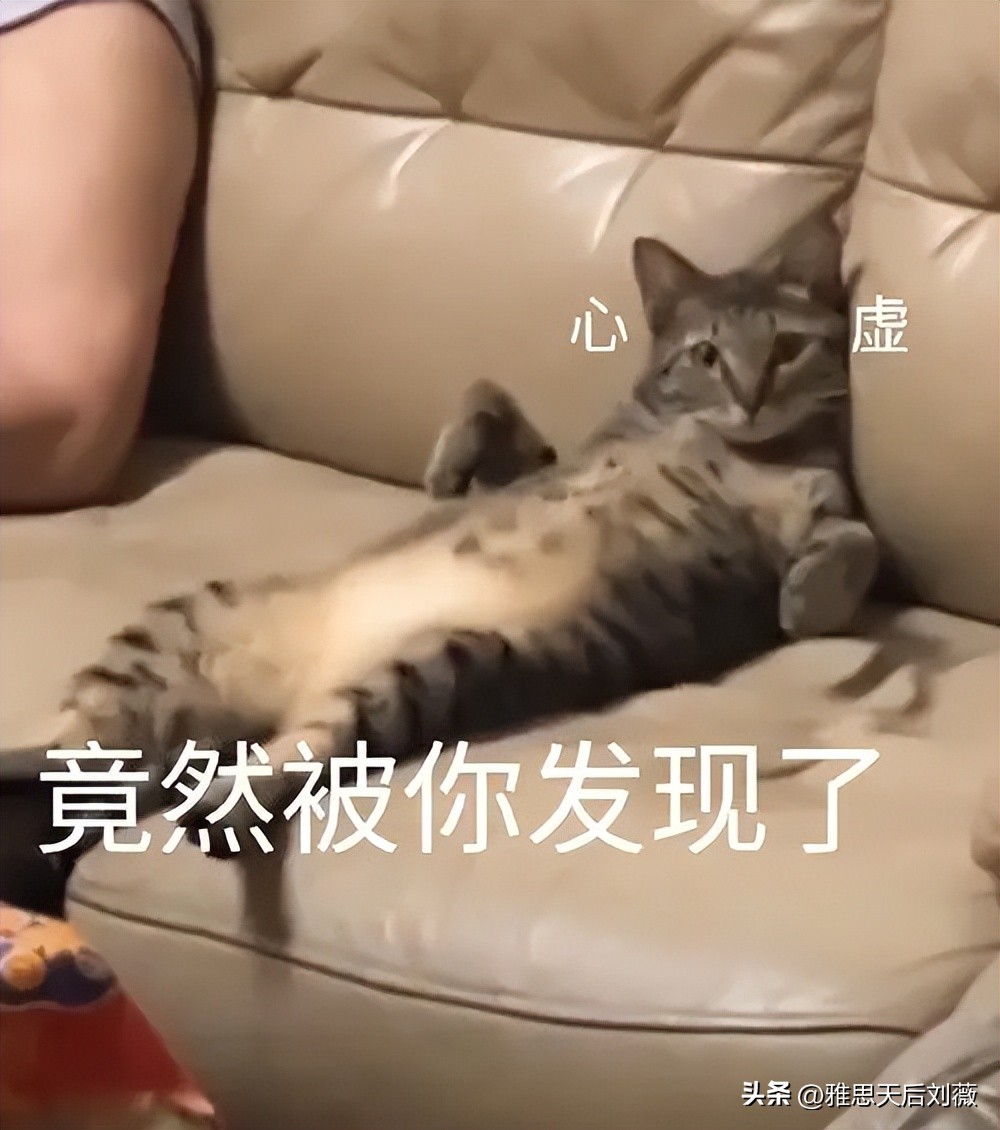 破防了！学了十几年Dear Li Hua，现在被告知写邮件用Dear不对？