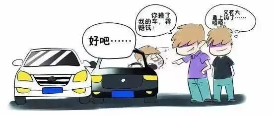 车主撞死故意碰瓷者，会有什么后果？终于有了答案！