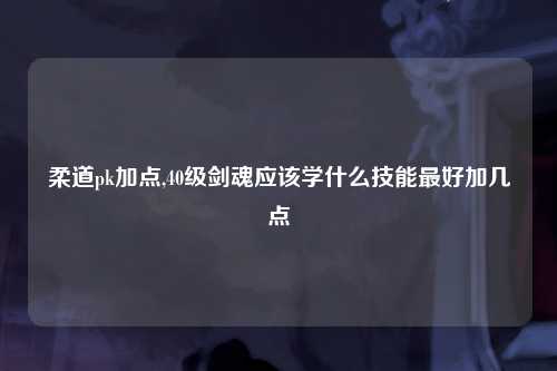 柔道pk加点,40级剑魂应该学什么技能最好加几点