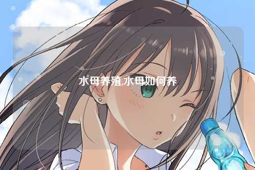 水母养殖,水母如何养