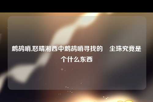 鹧鸪哨,怒晴湘西中鹧鸪哨寻找的雮尘珠究竟是个什么东西
