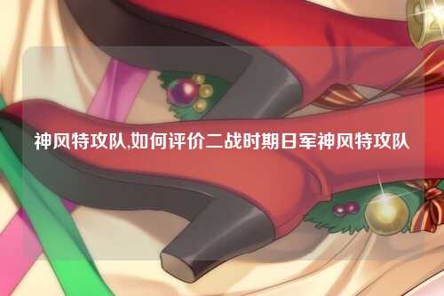 神风特攻队,如何评价二战时期日军神风特攻队